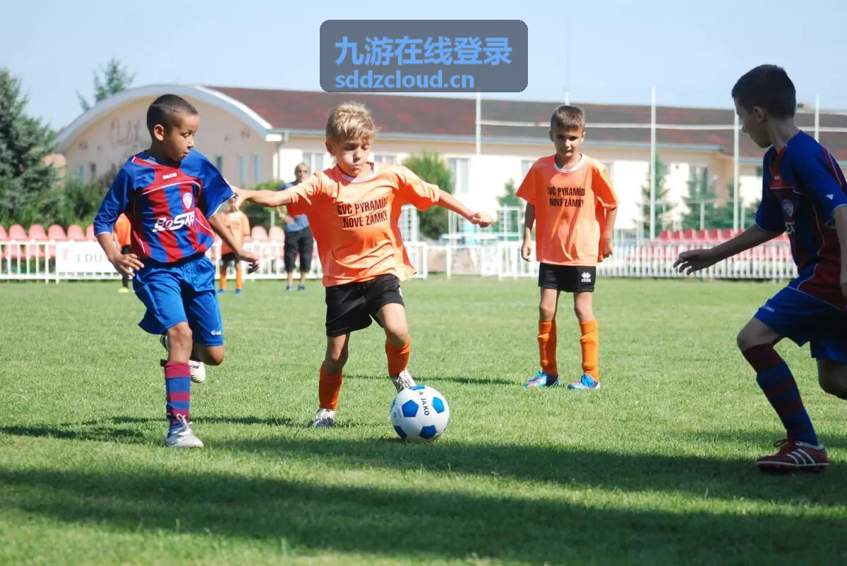 九游在线登录客服通道优先响应